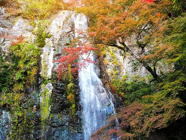 Minoo waterfall in autumn seasonal.