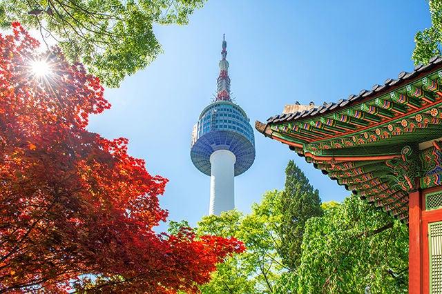 Seoul Tower with gyeongbokgung roof and red autumn maple leaves at Namsan mountain in South Korea., Seoul Tower with gyeongbokgung roof and red autumn maple leaves