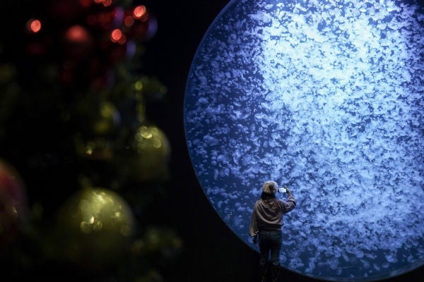 Yamagata Kamo Aquarium