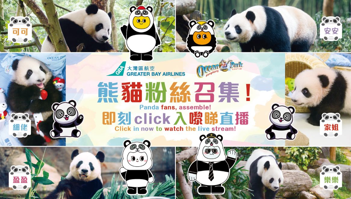 Ocean park panda Fly GBA website_aw03