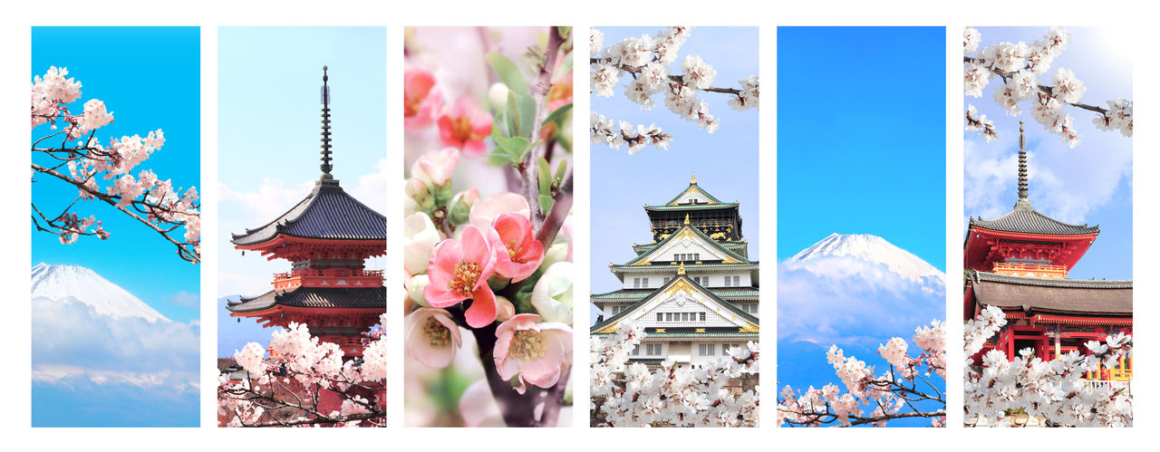 Hanami festival. Sakura blossom season in Japan. Set of vertical banners with landmarks of Japan. Sacred Mount Fuji (Fujiyama), ancient pavilion in Fushimi Inari shrine in Kyoto, Osaka Castle