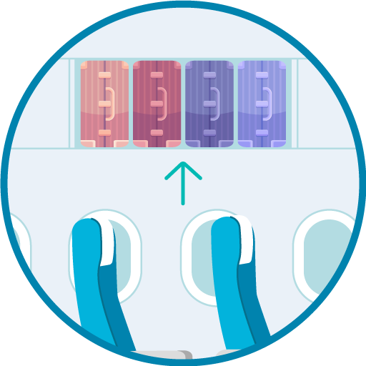 Baggage Greater Bay Airlines