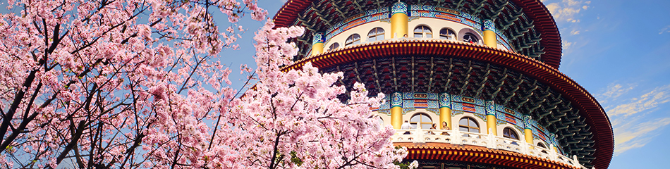 The beautiflu sakura garden with nice sky in Taipei, Taiwan